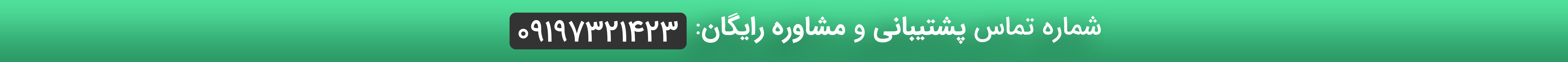طراحی سایت وبکارا